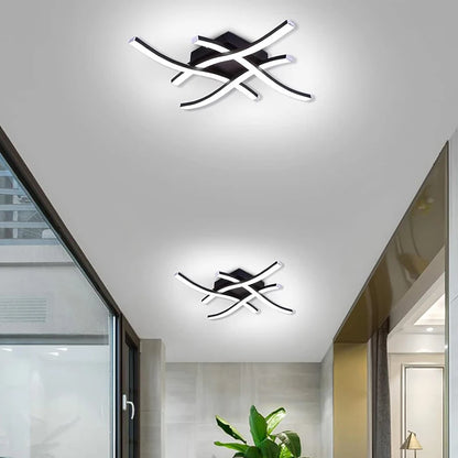 LED ceiling light, living room ceiling light, dining room bedroom kitchen ceiling light